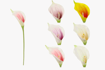 03910 COPO DE LEITE EVA X1 57CM