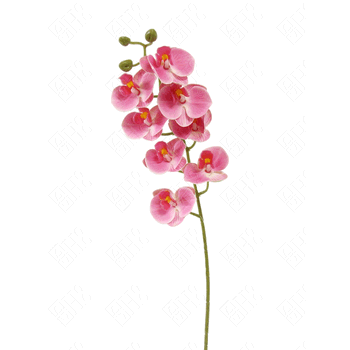 03918 ORQUIDEA PEQUENA 3D X8 75CM