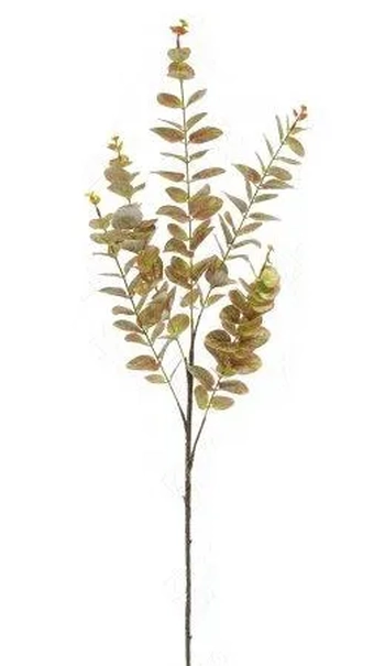 E/0792 GALHO DE EUCALIPTO TOQUE NATURAL X5 95CM