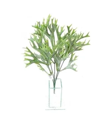 E/0724 CHIFRE DE VEADO X5 37CM