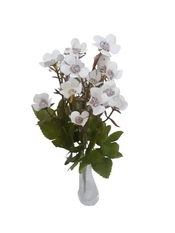 EO-0037 BUQUE DE BEGONIA