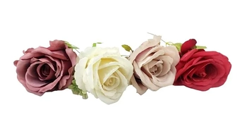 W492-03 GALHO DE PEONIA