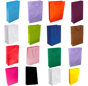 S2 SACOLA DUPLEX 21X28X10 C/10