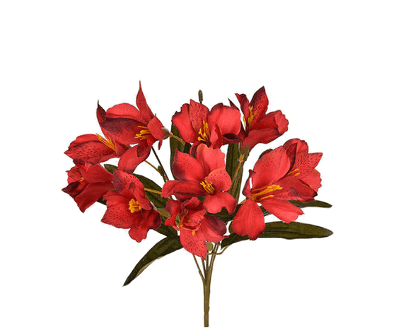 W390-03VM ASTROMELIA