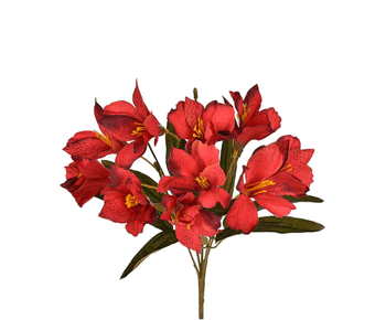 W390-03VM ASTROMELIA