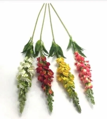 W417-03AM GALHO BOCA DE LEAO