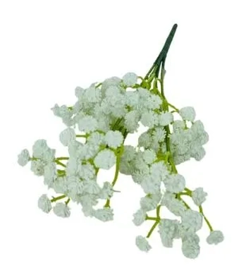 CD-0064 BUQUE DE MOSQUITINHO