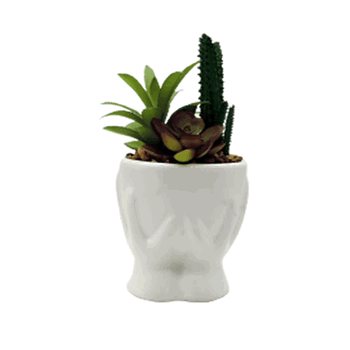 BRCY-10441 VASO SUCULENTA