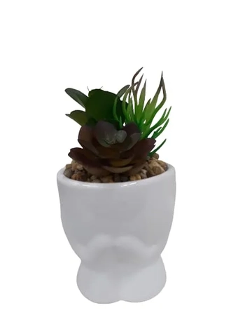 BRCY-10442 VASO SUCULENTA