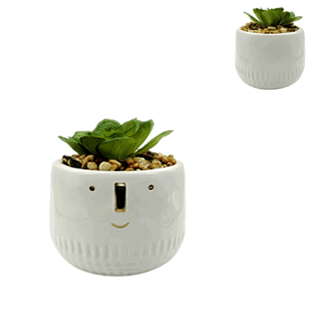 BRCY-10455 VASO SUCULENTA