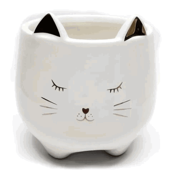 BRQX-10205 VASO GATINHO