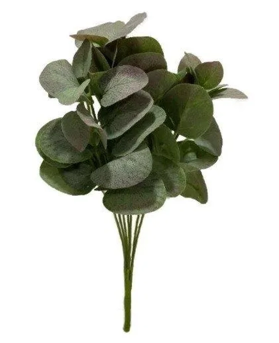 BO-0108VM BUQUE DE EUCALIPTO PEQ OUTONADO