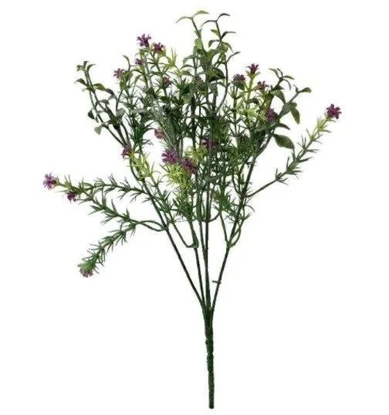 CD-0046 BUQUE CAPIM FLORZINHA