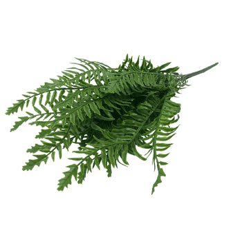 DR-0021 BUQUE SAMAMBAIA