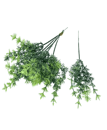 CD-0032 PICK PINHEIRINHO