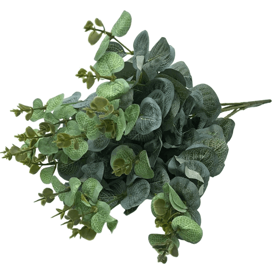 AA-0021 BUQUE EUCALIPTO X5