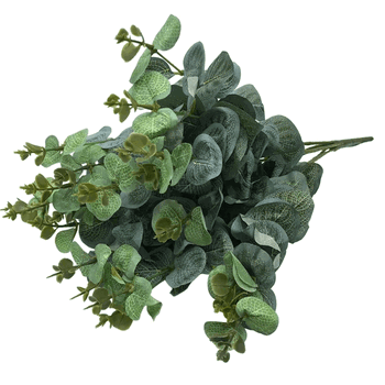 AA-0021 BUQUE EUCALIPTO X5