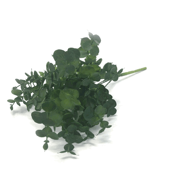 W113-12 MINI BUQ EUCALIPTO X7 108U/12