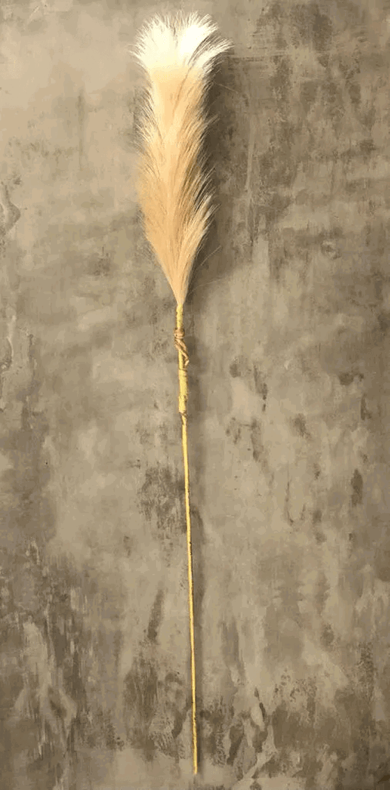 234 HASTE PLUMA 70CM AMARRADO C/15 GALHOS