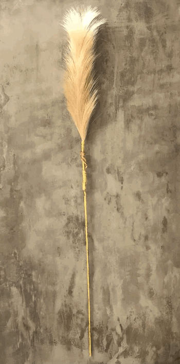 234 HASTE PLUMA 70CM AMARRADO C/15 GALHOS