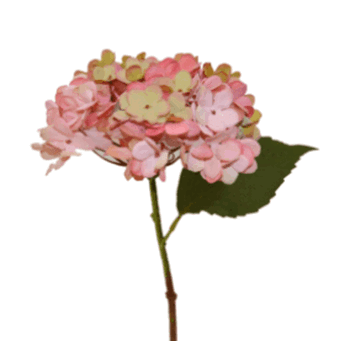 BF5439RS HASTE HORTENCIA 32CM