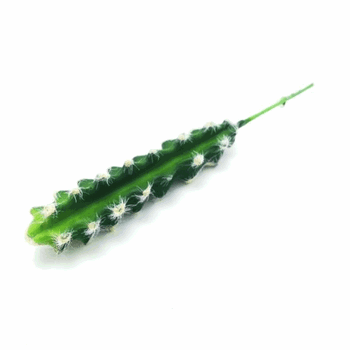 W298-87 CACTO CEREUS 29CM