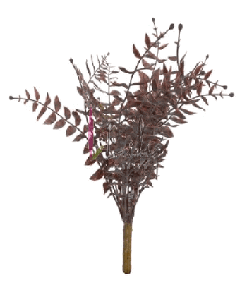 AA-0022 GALHO EUCALIPTO X3