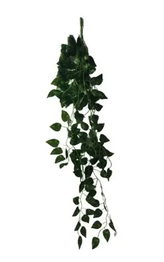 EJ-0012 FOLHAGEM DE JIBOIA