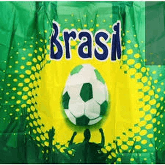 807007 BANDEIRA ESTAMPA TORCEDOR 87X145CM