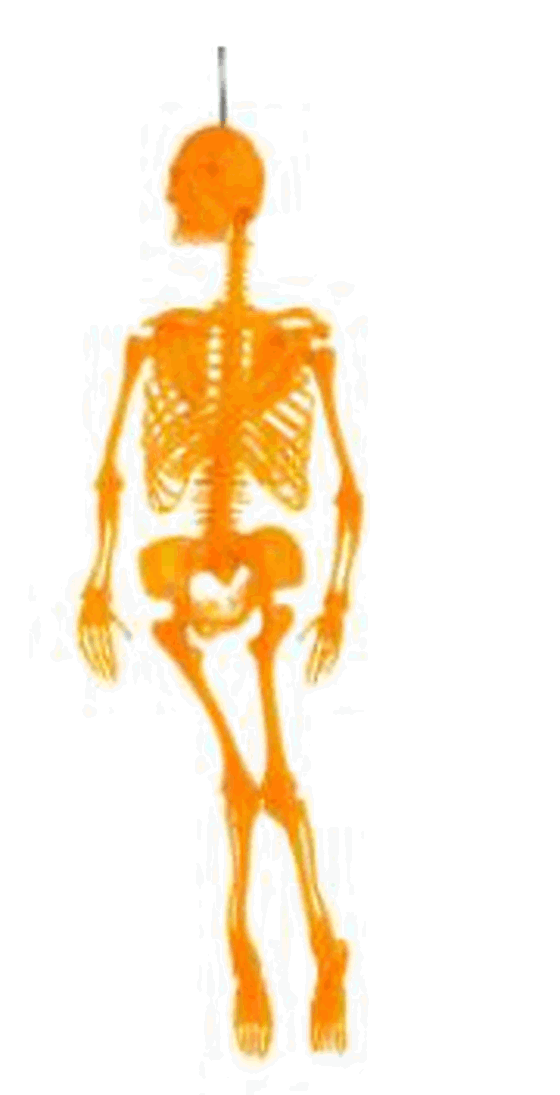 H122 ENFEITE CAVEIRA CORES SORTIDAS 33CM