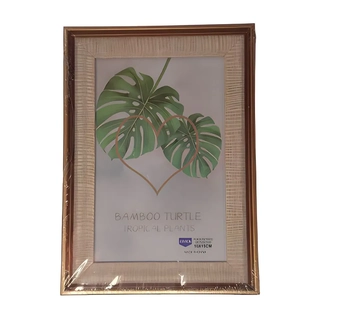 P80041 PORTA RETRATO PLASTICO