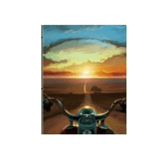 QQ2008 PLACA ESTAMPADA DE MADEIRA