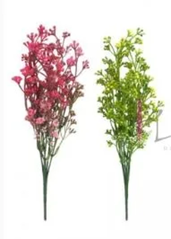 CD-0048 BUQUE SEMENTINHAS