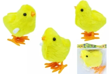 TS49001 PINTINHO A CORDA