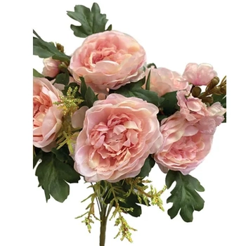 07965 PEONIA X 10 52CM