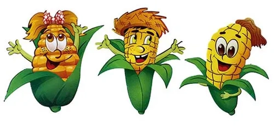 1911 ENFEITE MILHO C/6