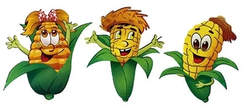 1911 ENFEITE MILHO C/6