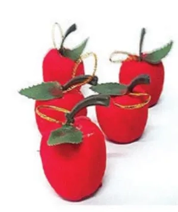 QA-220PA BANDEJA EM FERRO PRATA 20X10