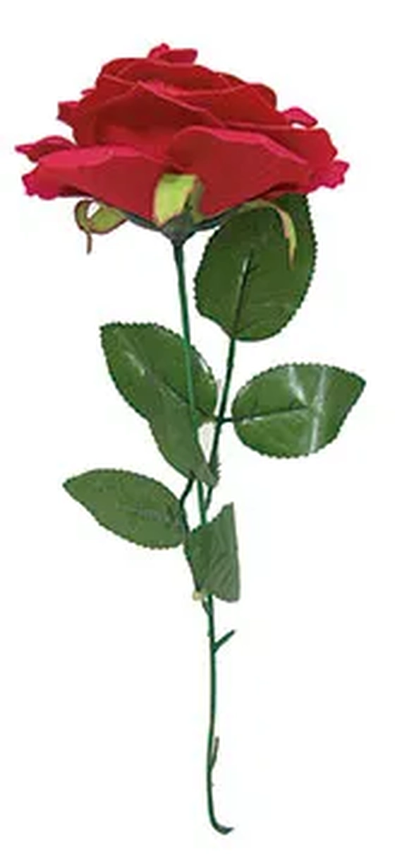 07088 ROSA AVELUDADA GRANDE X1 65CM