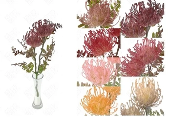 E/0927 PROTEA ALFINETEIRA X 2  40CM