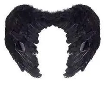 Q19479 ASA DE ANJO PRETA 35X53CM