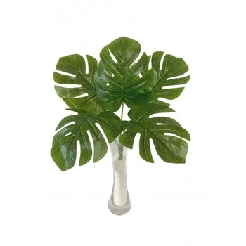 E/0673 BUQUE DE COSTELA DE ADAO X 5 34CM