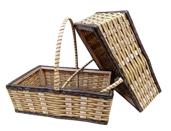 2070-02 VOVO SINTETICA G BANANA