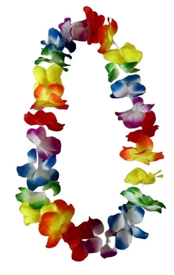 904258 COLAR HAVAIANO LUXO