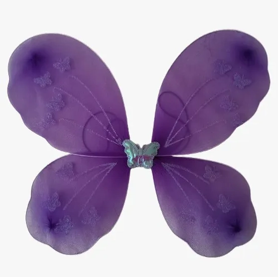 904329 ASA BORBOLETA SORTIDAS