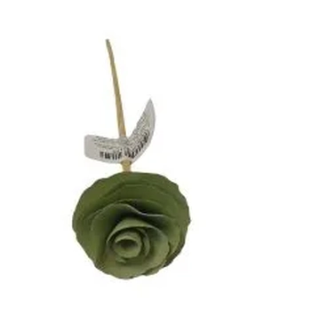 VAR-01-PIST- PALITO DIFUSOR EM MADEIRA25CM COR VERDE PISTCAH