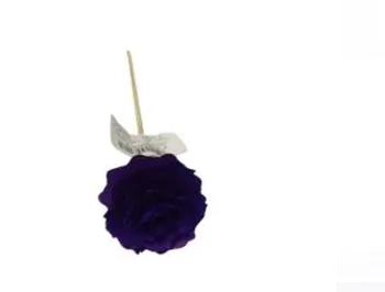 VAR-03/ROXO PALITO DIFUSOR EM MADEIRA 25CM COR ROXO