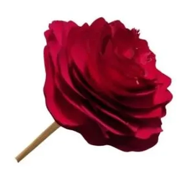 VAR-005-VER- PALITO DIFUSOR EM MADEIRA25CM COR VERMELHA