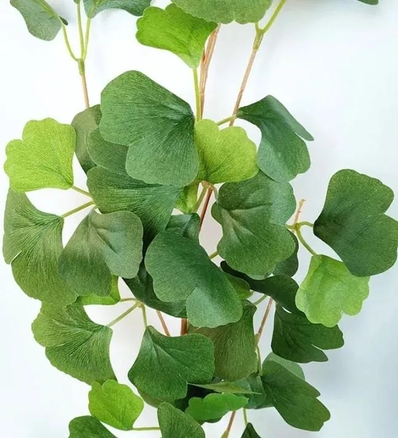 E/0822 FOLHA NOGUEIRA DO JAPAO NATURAL X5 46CM