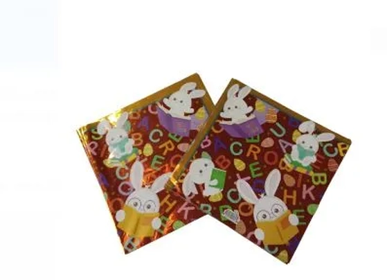 88500317 EXPRESS ABC LARANJA 24X24 C/25